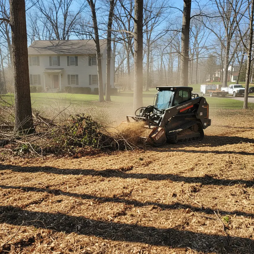 Forestry Mulching Magnetic Springs OH — Managing Wooded Lots Effectively | Fortress Level