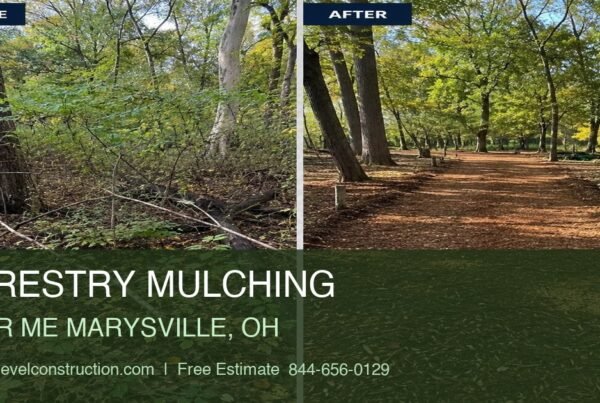 What to Do After Forestry Mulching in Ohio to Protect Your Property and Keep It Usable 2 forestry mulching near me marysville oh