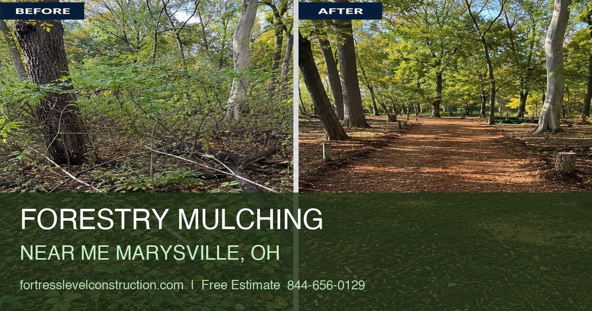 What to Do After Forestry Mulching in Ohio to Protect Your Property and Keep It Usable