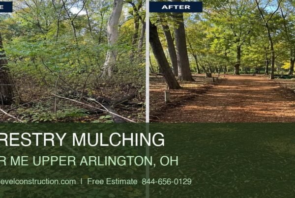 Forestry Mulching Benefits in Ohio: A Smarter Way to Clear Land for Building and Use 2 forestry mulching near me upper arlington oh