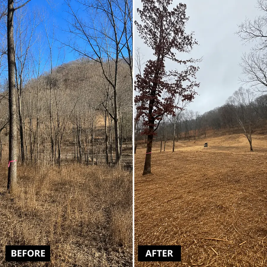 Before and after project — cg 4